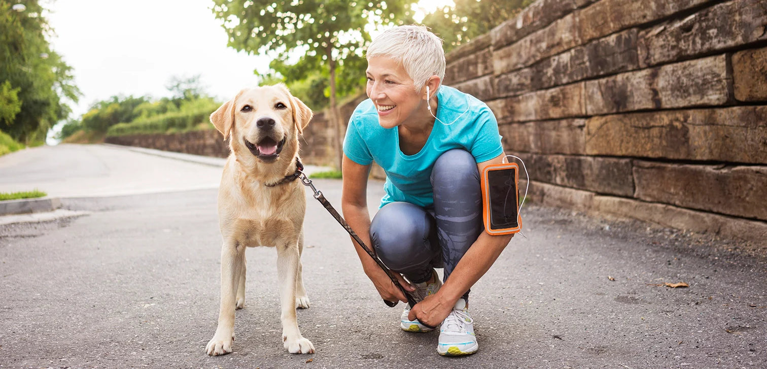 Senior Dog Joint Care: Tips for Comfort, Mobility, and Healthy Aging