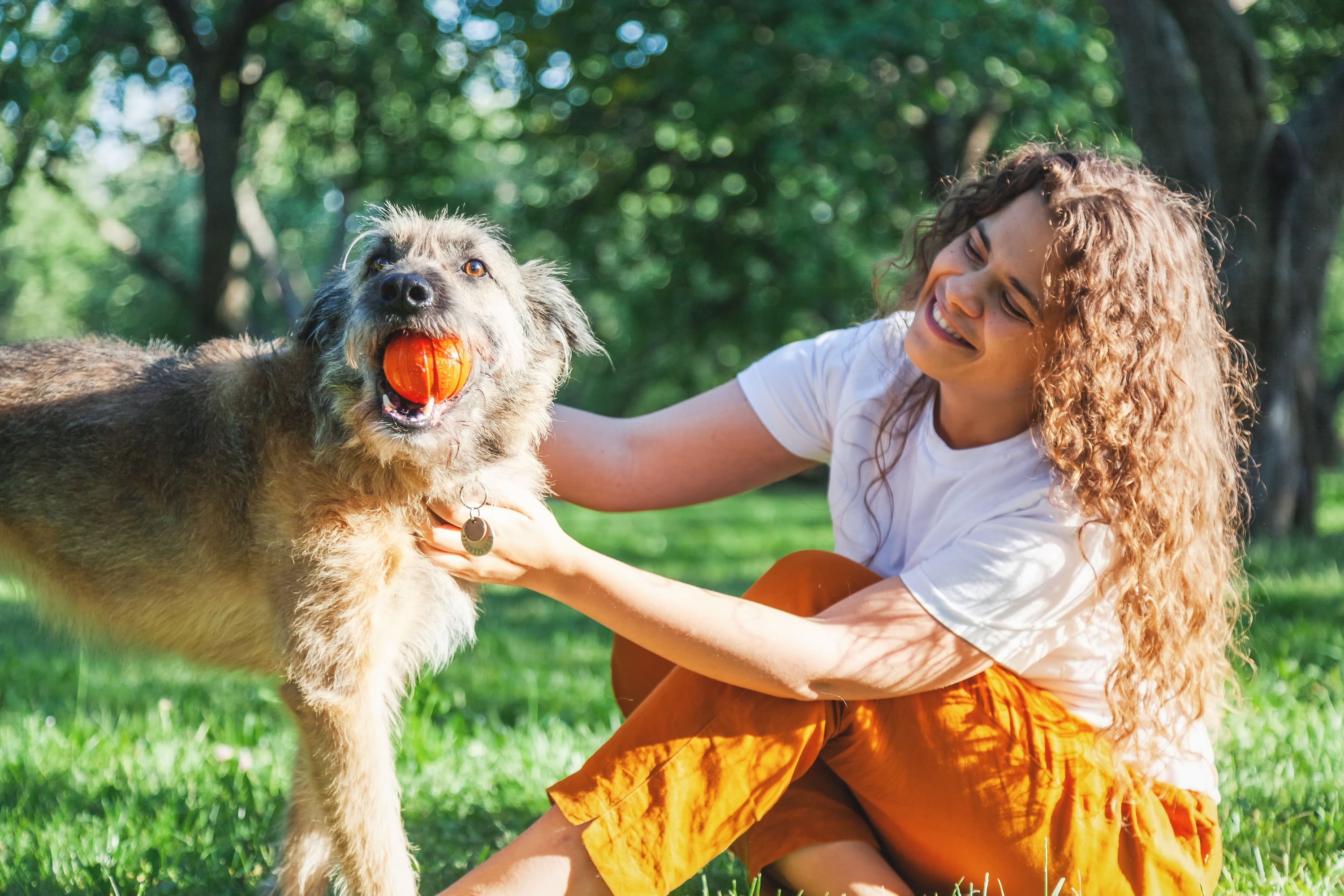 PEA for Senior Dogs: What the Research Says