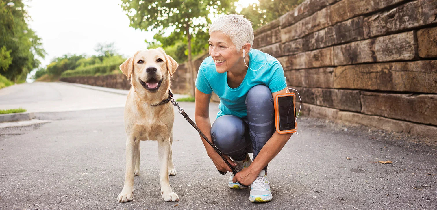 Senior Dog Joint Care: Tips for Comfort, Mobility, and Healthy Aging