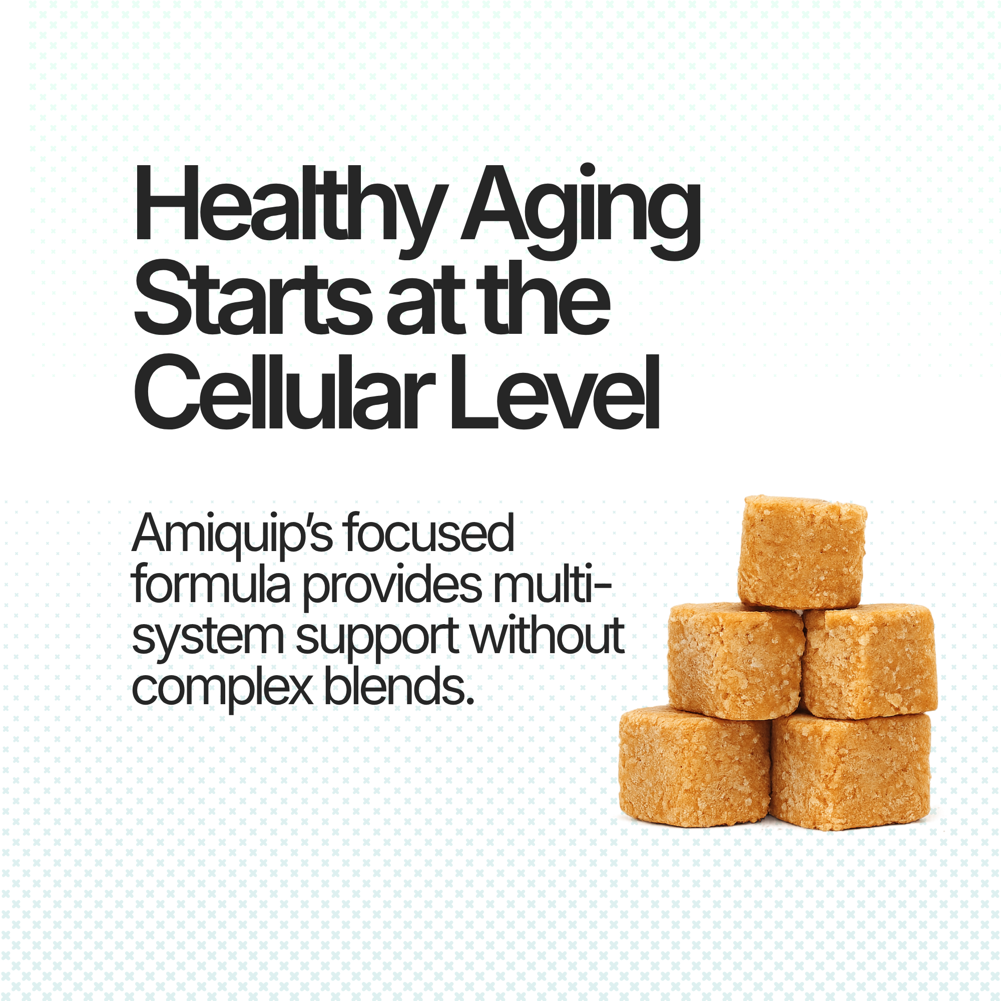 Amiquip Soft Chews for Senior Dogs