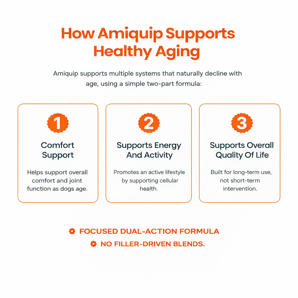 Amiquip Soft Chews for Senior Dogs