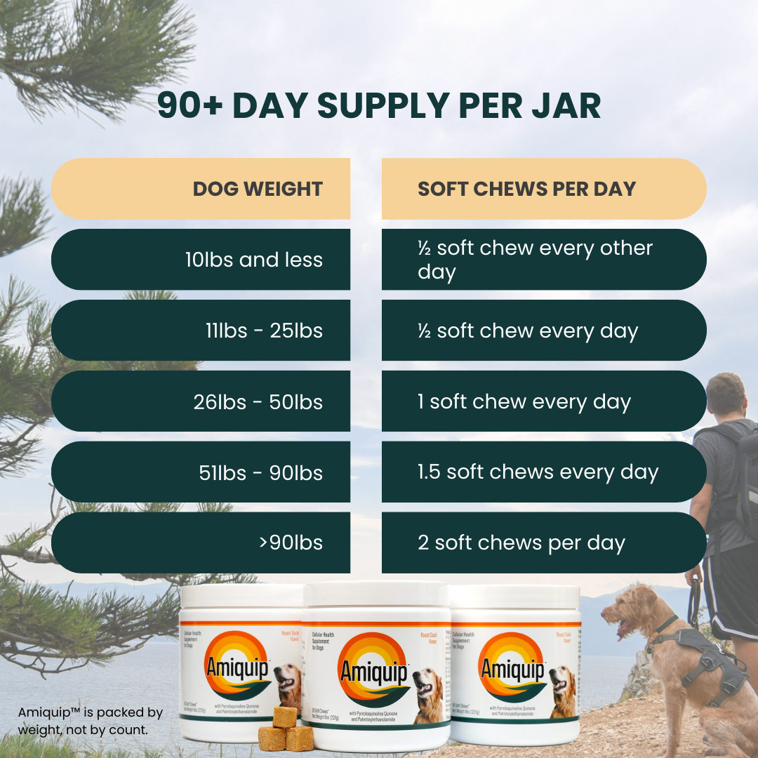 Amiquip Soft Chews for Senior Dogs