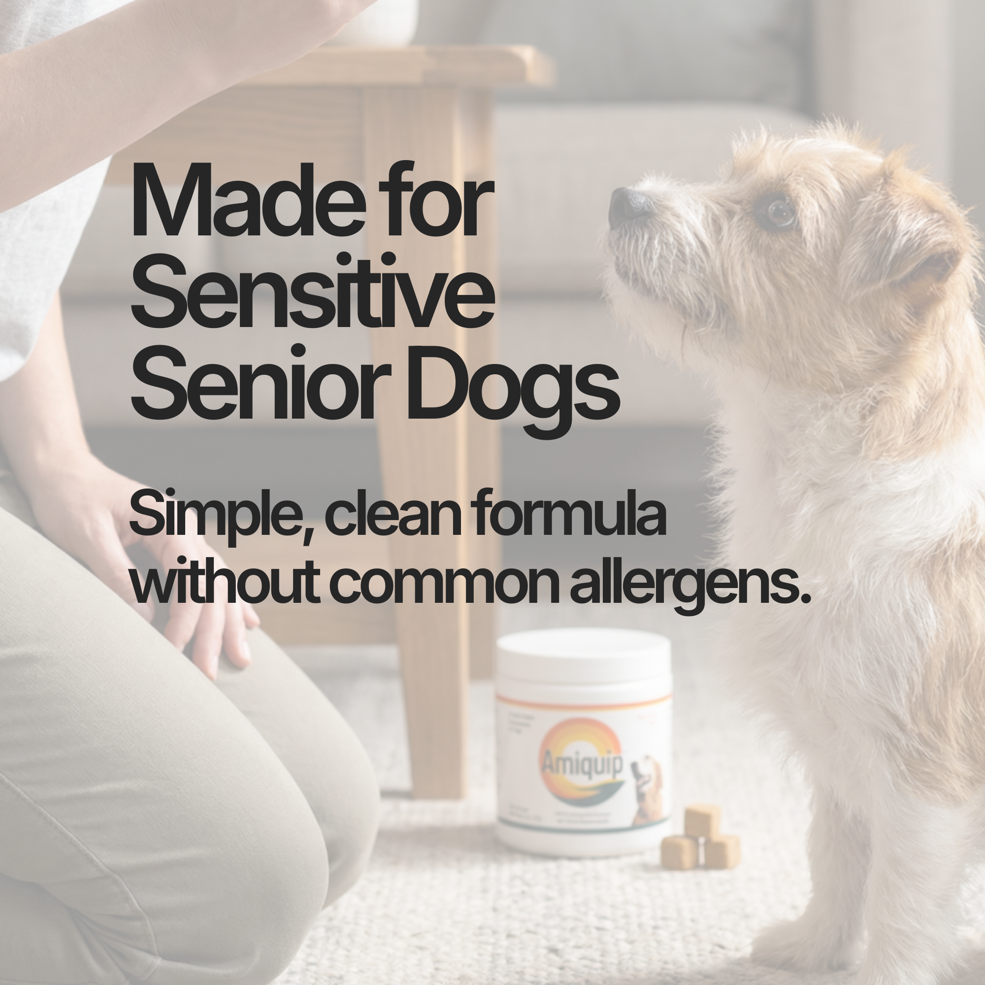 Amiquip Soft Chews for Senior Dogs