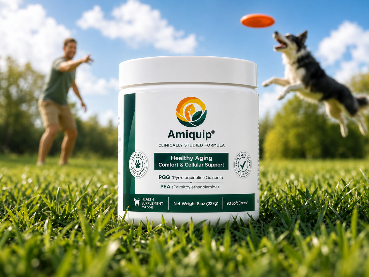 Amiquip lifestyle image