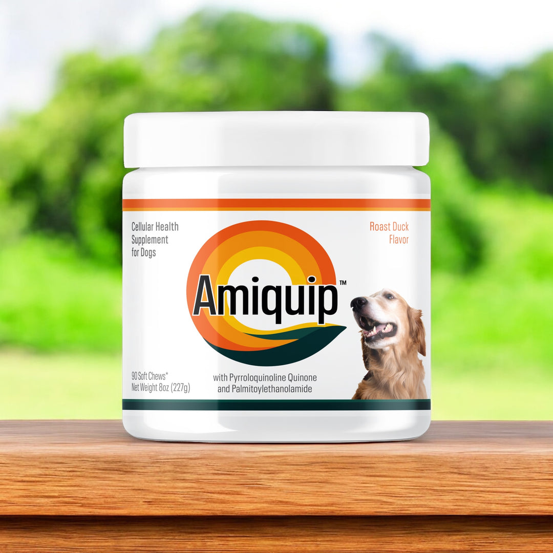 Amiquip™ Soft Chews for Dogs (PQQ 6 mg + PEA 200 mg) | 90+ Day Supply