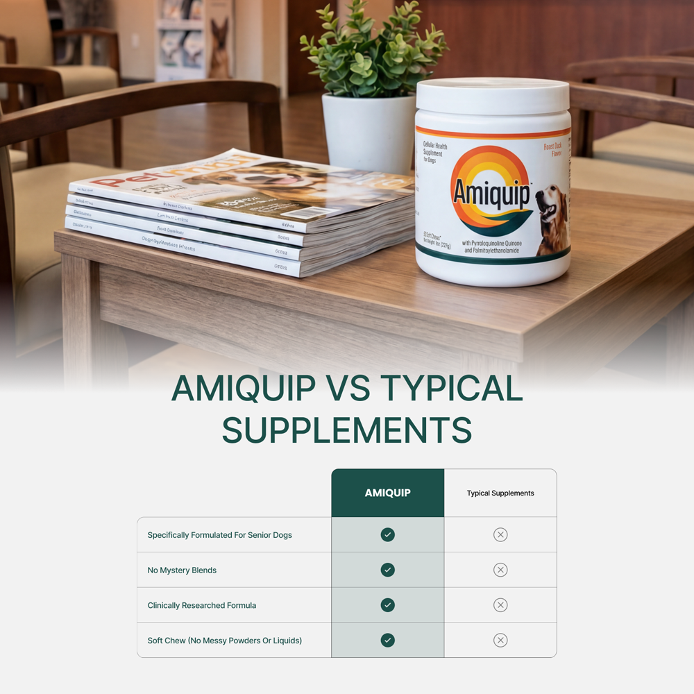 Amiquip Soft Chews for Senior Dogs