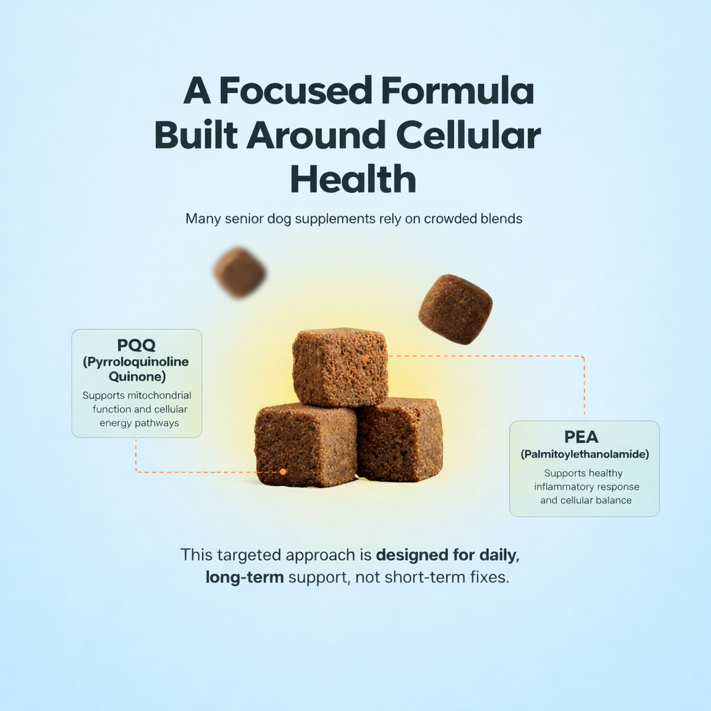 Amiquip Soft Chews for Senior Dogs