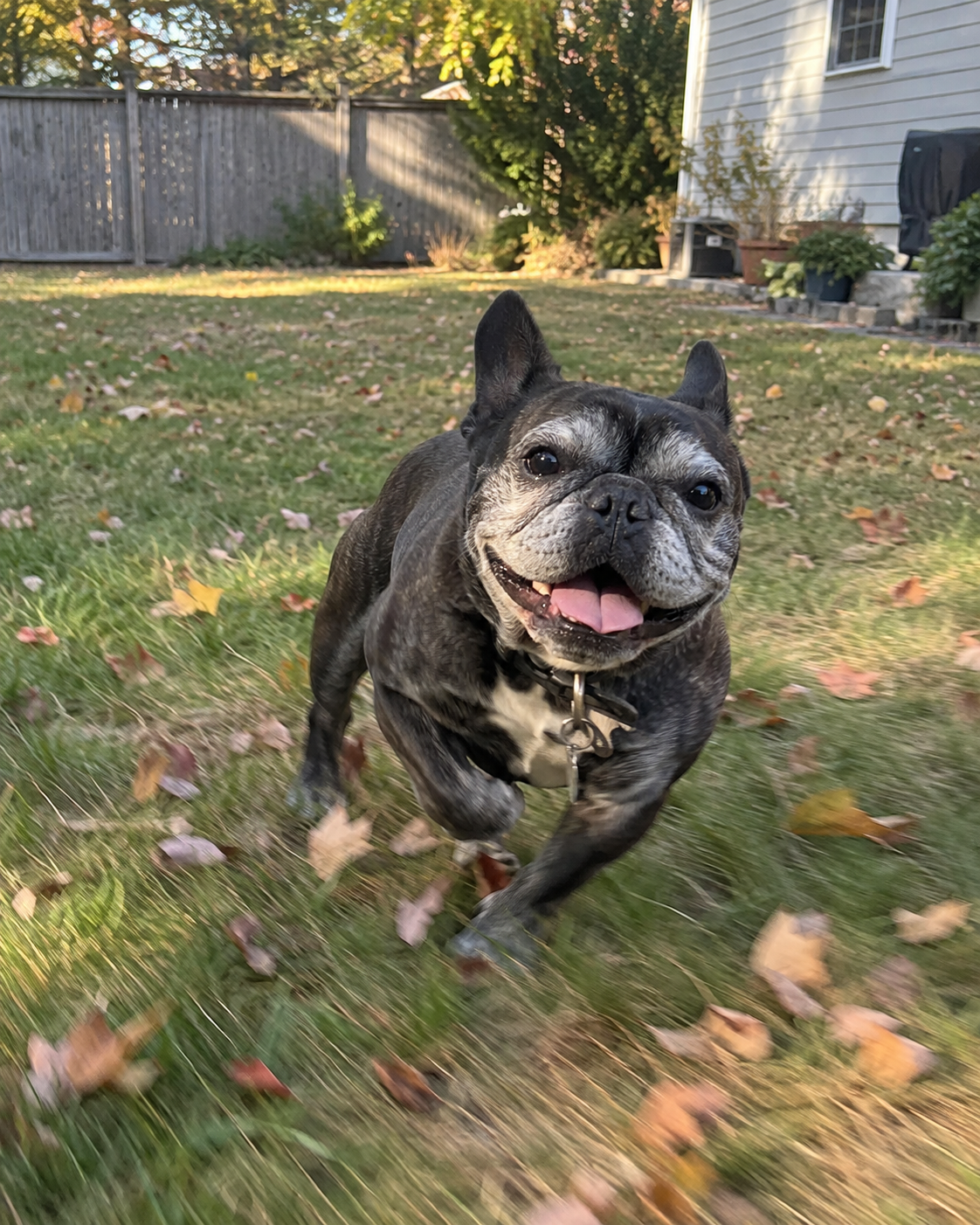 Much more energy!