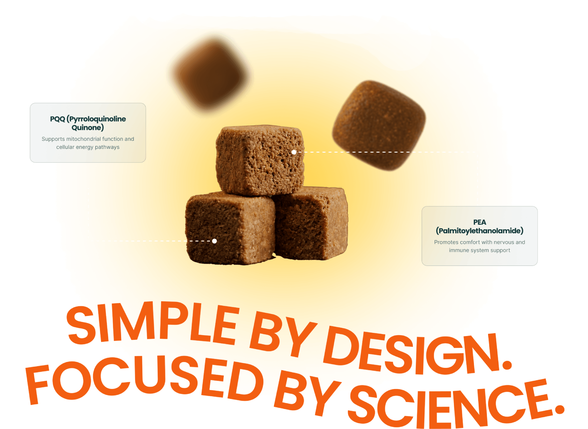 Where Science
Meets Longevity
