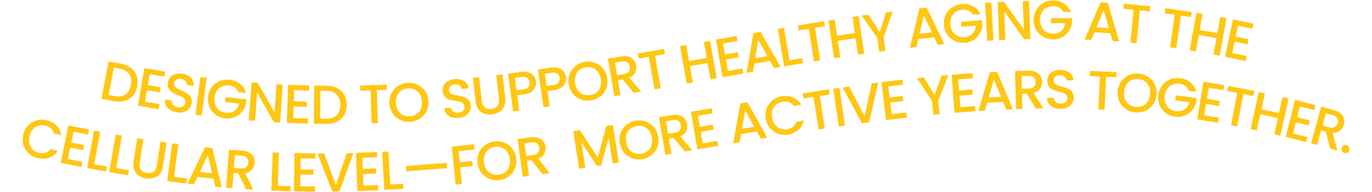 AV image text section